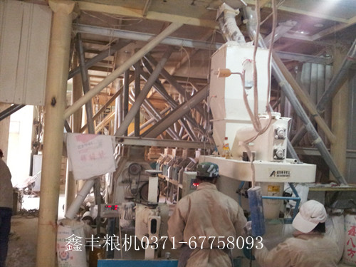 辉县60吨面粉机械正式投入生产中